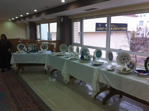 YAŞLI BAKIMI PROGRAMI TEKNİK ODA VE UYGULAMALARI