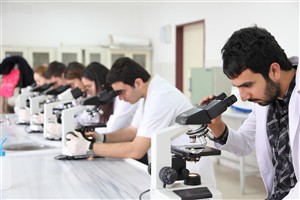 TIBBİ LABORATUVAR TEKNİKLERİ PROGRAMI LABORATUVARI
