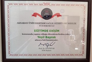 ENGELLİ ERİŞİLEBİLİRLİĞİ