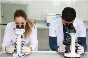TIBBİ LABORATUVAR TEKNİKLERİ PROGRAMI LABORATUVARI