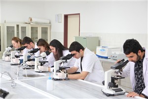 TIBBİ LABORATUVAR TEKNİKLERİ PROGRAMI LABORATUVARI